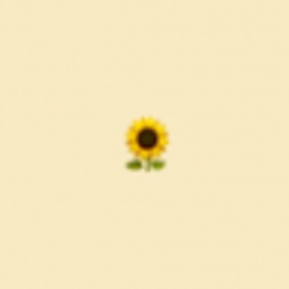 Meet your Posher, Lindi - Picture 1 of 1